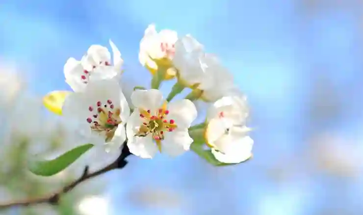한시생계지원금 신청으로 저소득층 지원 받는 법 알아보기