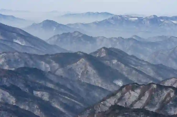 미성년자 자녀 기본증명서 인터넷 발급 방법 안내(주민센터 비교)