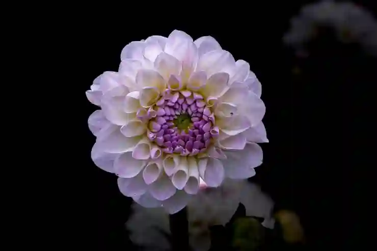 5% 이율 적금과 파킹통장으로 돈 불리는 비법 알아보기