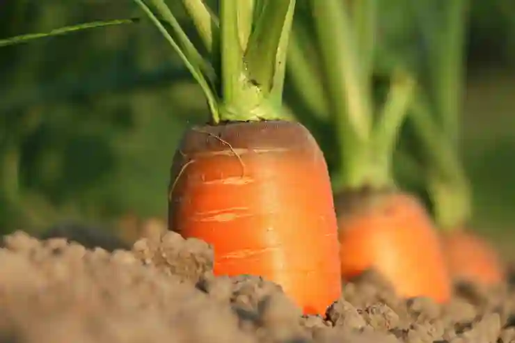 LG유플러스와 당근이 함께하는 안전한 중고폰 거래 팁 알아보기