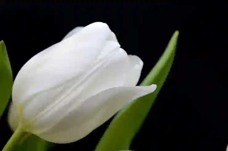 전북은행의 연 6% 적금 이자로 돈 불리는 법 알아보기