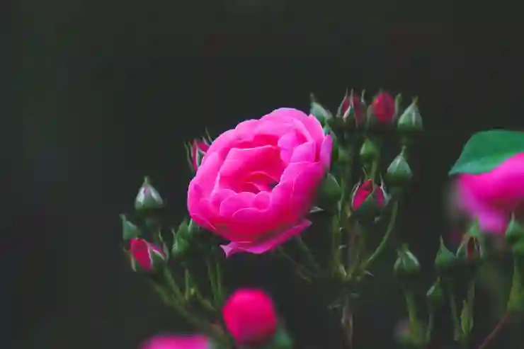 인버스와 레버리지로 투자 수익 극대화하는 전략 알아보기