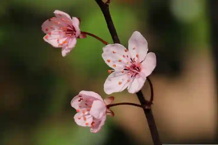 지구본 관련 고화질 이미지로 만드는 작업 환경