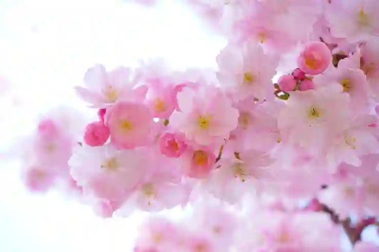 신생아특례 대환 대출: 금리와 조건 정확히 알아보기
