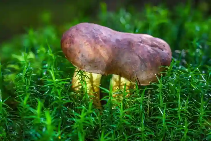 틱톡 부업의 실체, 주의할 점은?