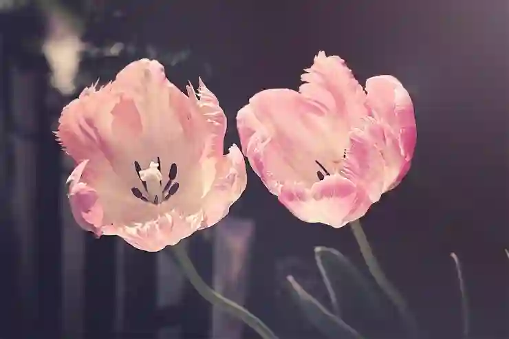 주민번호로 신속하게 사람 찾기: 절차와 주의사항