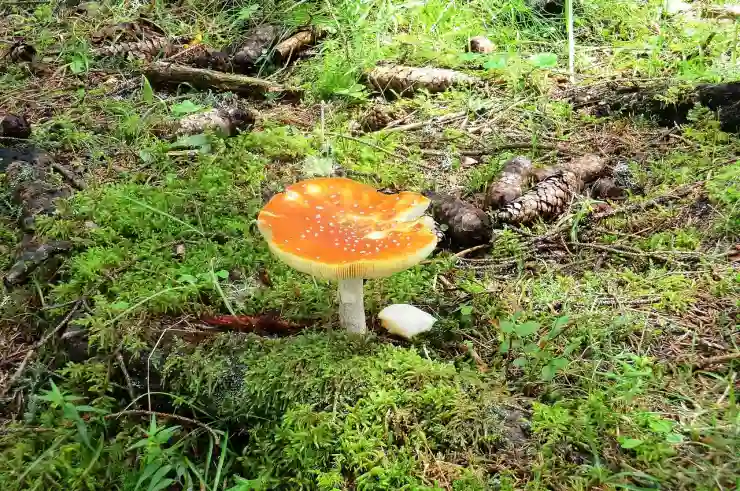 포토샵으로 gif 용량 줄이기 자세한 방법