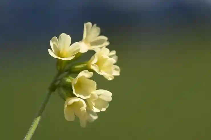 탐정사무소 활용법 살펴보기