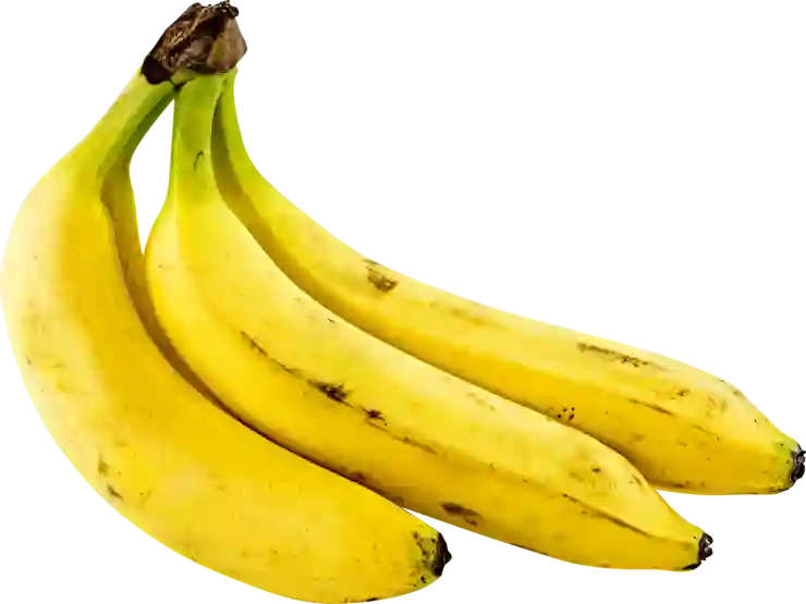 상업용 무료 손그림 일러스트 PNG 사이트 탐험하기