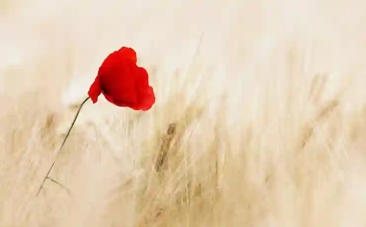 은행 보험 카드 광고 전화와 문자, 완벽 차단하는 방법 알아보기