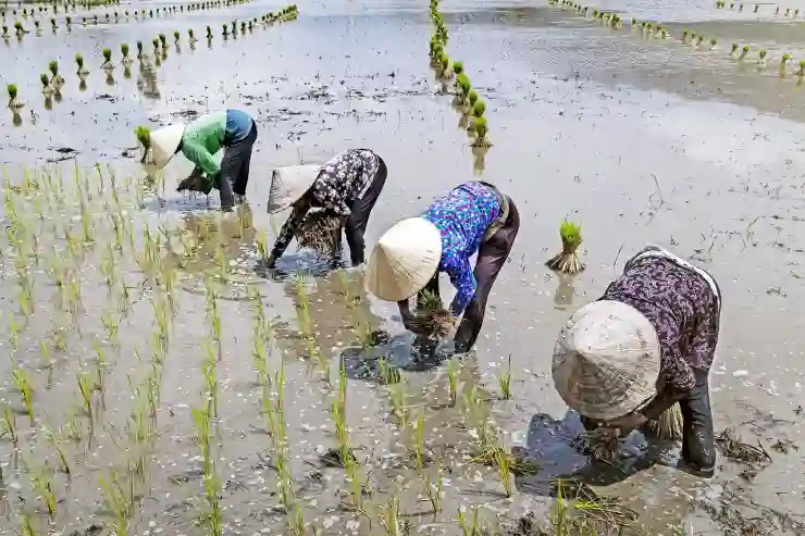임플란트를 저렴하게 받는 꿀팁 알아보자