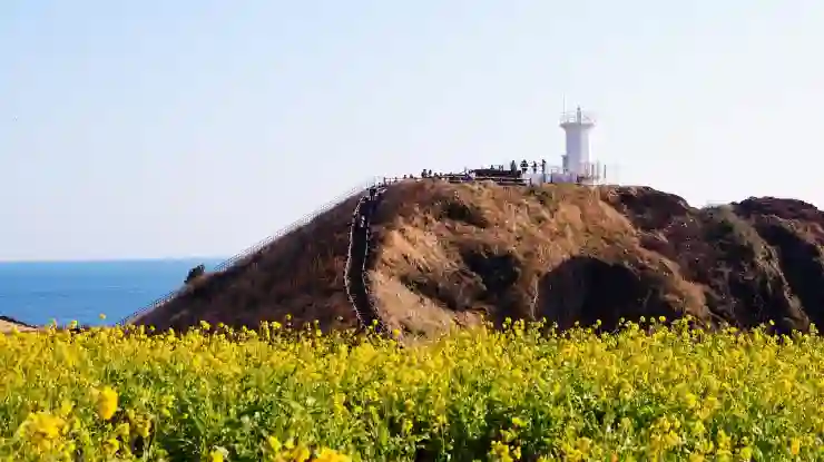 제주도 유채꽃밭 여행 추천 코스 살펴보기