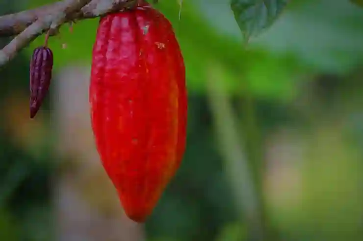 카카오 내비 블랙박스 완벽 활용법 알아보기