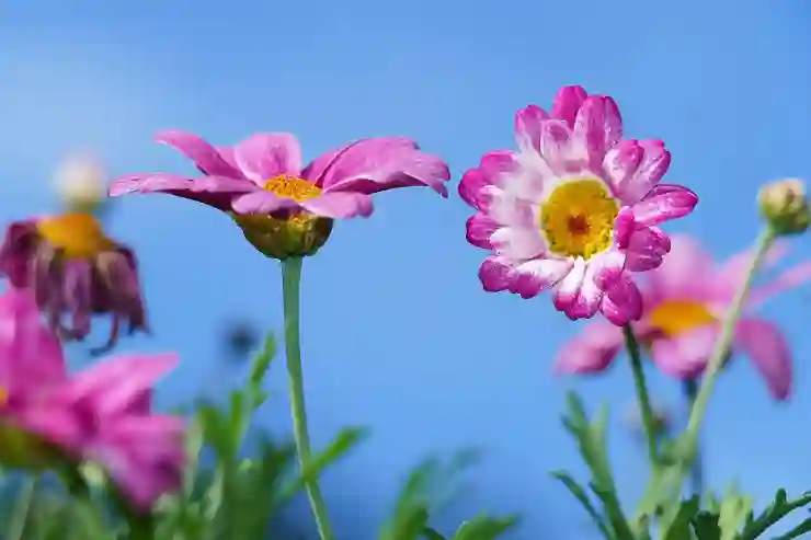 페이스북으로 사람 찾는 꿀팁 알아보자