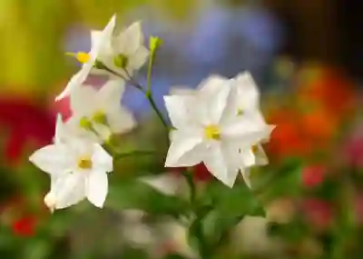 CU 1+1 상품 혜택 알아보자