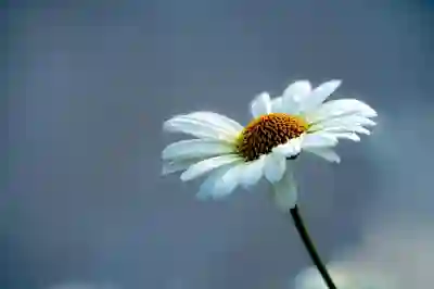 지퍼 수선의 기본: 필요한 도구와 방법을 알아보세요