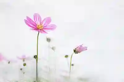 대전 포장이사와 단기 알바에서 섬세한 처리 경험 살펴보기