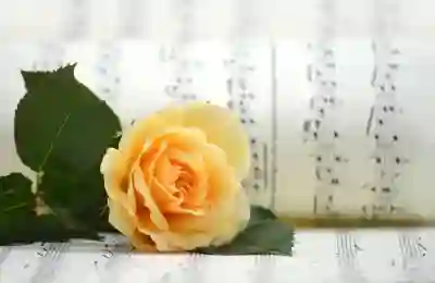 리볼빙 해지 시 주의사항 3가지 알아보자
