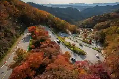 삼성페이에서 교통카드 삭제하는 방법 알아보자