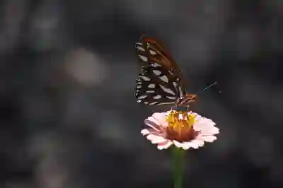 워드 문서 글자 수 세기 꿀팁 알아보자