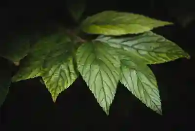 지메일 알림 켜기와 끄기 설정 방법 알아보자