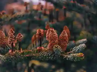 추억의 윈도우XP 4K 배경화면 다운로드 방법 알아보자
