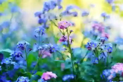카카오 메일 안 읽은 메일만 삭제하는 꿀팁