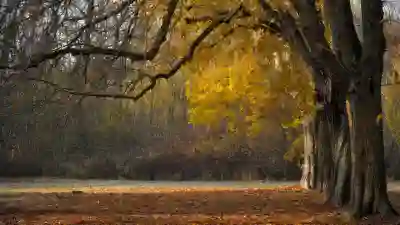카카오톡 투표하기 꿀팁