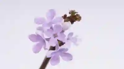 현대카드 결제연기 신청 방법 알아보자