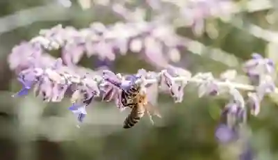 갤럭시 홈 화면 꾸미는 꿀팁