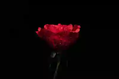 모바일 네이버 쪽지 바로가기 추가하는 방법 살펴보자