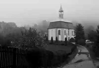 보험다모아 자동차보험 최저가 비교 가입 꿀팁 알아보자