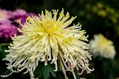 스마트스토어 판매 패널티 삭제를 위한 꿀팁 알아보자