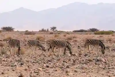 아이폰 사파리 글자 크기 확대 축소 설정하는 방법 알아보자