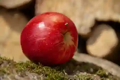 네이버 메일 알림 설정 방법: 모바일과 PC