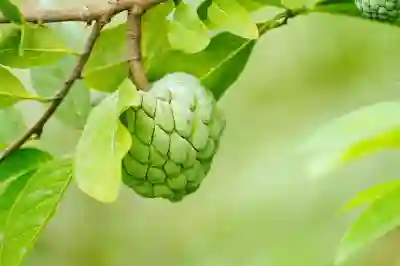 애플 결제내역 영수증 확인 방법