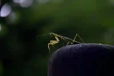 아이폰 보증 기간 확인 방법