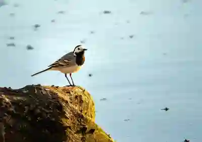 트위터 앱 로그아웃 방법 살펴보기