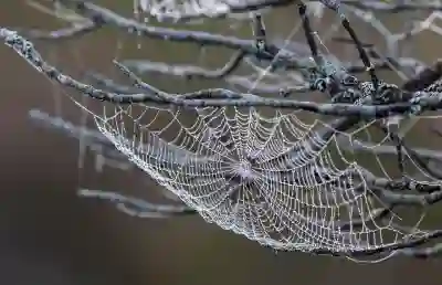 아이폰 사진 숨기기 방법 상세 설명