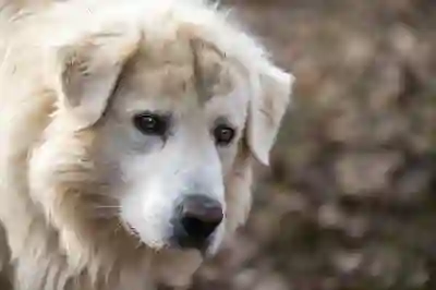 페이스북 친구 차단 및 차단해제 방법