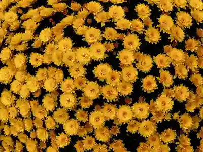 트위터 민감한 콘텐츠 설정 해제하기: 안드로이드와 PC