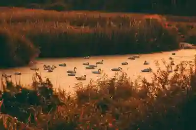 윈도우11 Cortana 제거 방법 1분 완성