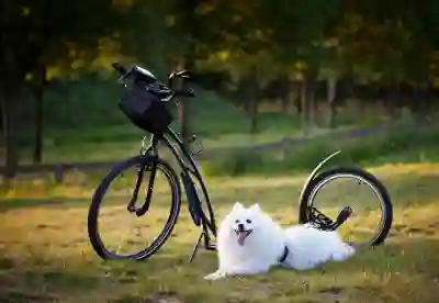 주차단속 알림서비스 신청 방법