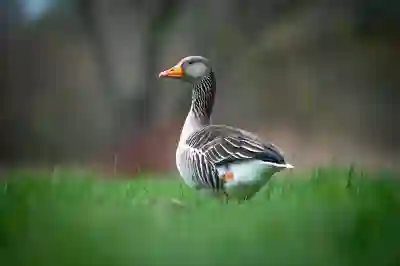 카카오맵 거리재기 직선거리 최단거리 보기 방법 알아보자