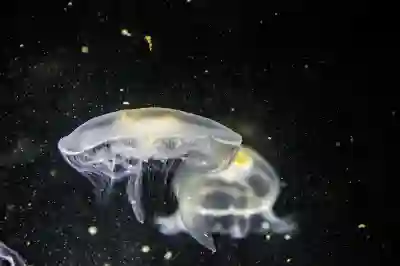 페이스북 다크모드 설정 방법 알아보자