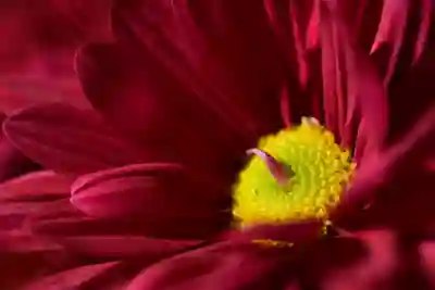 PC에서 카톡 사진 묶어보내는 꿀팁 알아보자