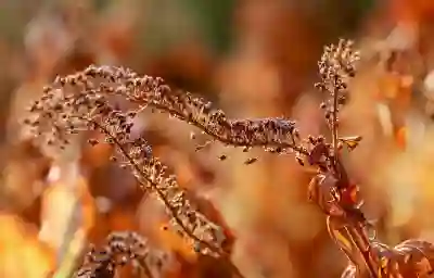 V3 Lite 광고 팝업 차단하는 방법 알아보자