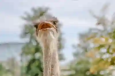 네이버 마이박스로 대용량 파일 공유하는 꿀팁