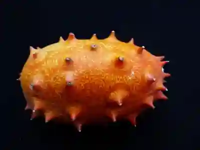 멜론 플레이리스트 카톡 공유 방법 알아보자