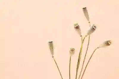 모바일 카카오톡 로그아웃 방법 알아보자